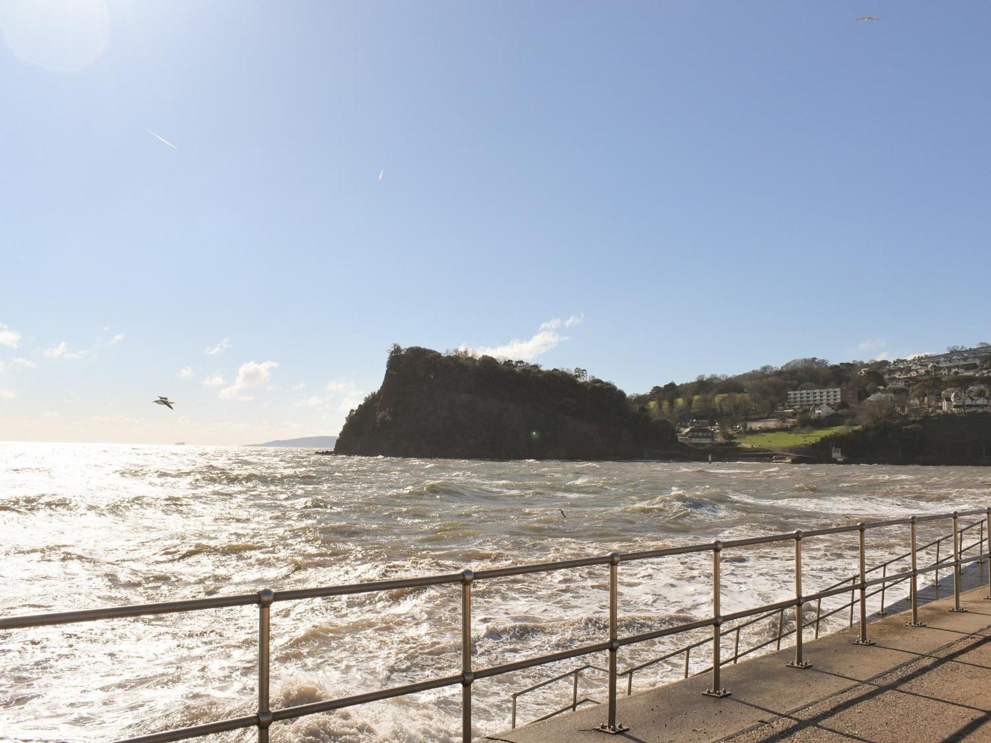 Primrose Cottage Teignmouth Zewnętrze zdjęcie